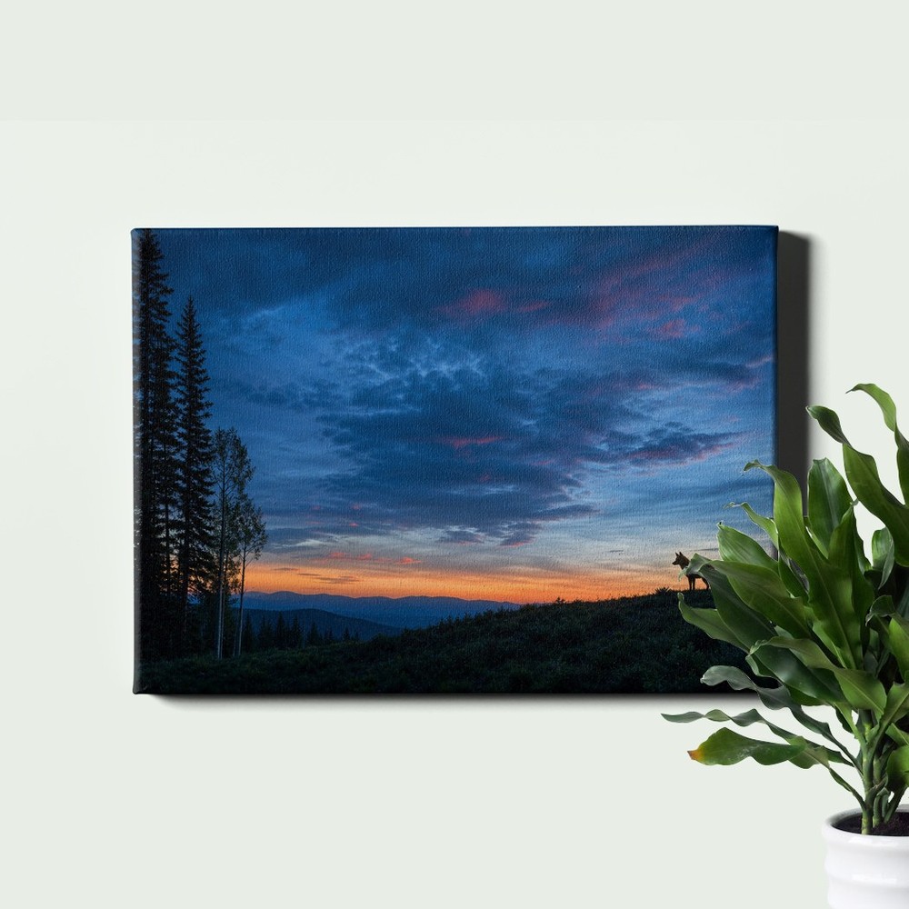 blue_hour_forest_sunset_fox_silhouette
