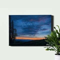 blue_hour_forest_sunset_fox_silhouette