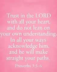 Pink Preppy Proverbs 3:5-6 Bible Verse Home Decor Poster, No Frame Included