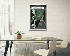 Eggplant Drawing, Eggplant French, French Eggplant, Aubergine 4 x 6″ – 16 x 24″