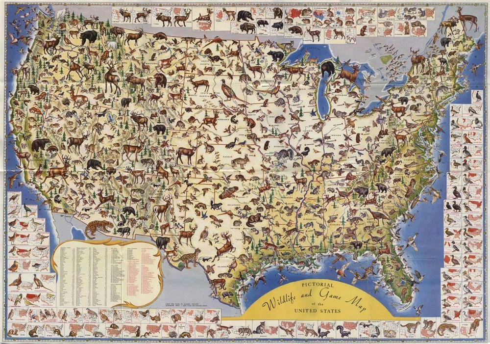 USA WILDLIFE AND GAME MAP GLOSSY POSTER PICTURE PHOTO hunting hunters animals 97