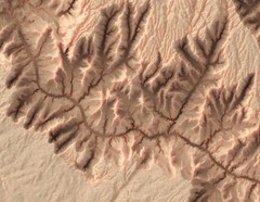 Grand Canyon Map, Grand Canyon 2D Relief Map, Arizona Map – 2D Flat Print