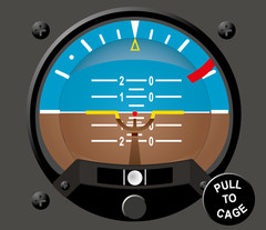 Airbus Helicopters AS350 B3-2B1 Cockpit Poster 24in x 36in