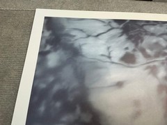 GERHARD RICHTER Lovers in the Forest 26.75″ x 28.25″ Poster 1995 Contemporary Bl