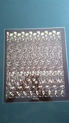 Knights /Bullrider 15×17 Wolves 11×14 plus 7 posters 8×10
