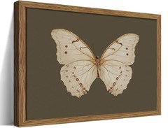 Vintage Butterfly Framed Wall Art, Small Dark Moody 10″L x 8″W,