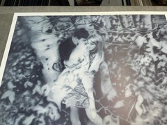 GERHARD RICHTER Lovers in the Forest 26.75″ x 28.25″ Poster 1995 Contemporary Bl