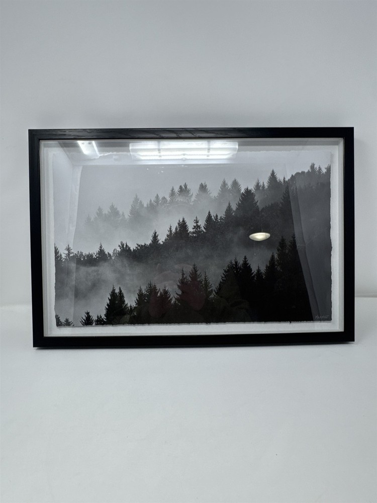 Black And White Forrest/Mountain Picture In Frame Nature Woods Marmont