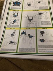 1984 Vintage Bruce Algra Weight Training Fitnus Chart Series Lot Of 12 16×11 In