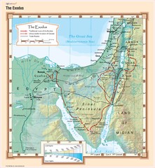 Cool Owl Maps The Exodus Bible Studies Wall Map 24×26 Laminated