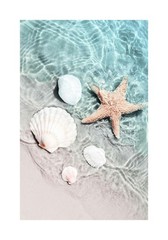 Starfish and Seashell Poster, Coastal Wall Art, Summer Poster