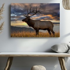 Majestic Elk Stands Proudly In A Golden Field, Its Impressive Antlers Wall Art