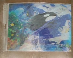 3D holographic posters, ocean life & kittens (15.5″ x 11.5″) Lot 2