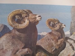 Vintage…Lot 3 .Original ..Gallery «Kuhn» Animal Art Prints Office..Cabin..Farm