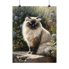Himalayan Cat Art Print, Cat Wall Art, Cat Artwork, Animal Painting