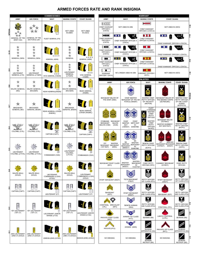 ARMED FORCES RATE AND RANK – Poster 20×30 Looks Awesome!