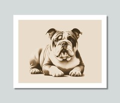BULLDOG Dog Photo Picture Pet Print in 8×10, 8.5×11 or 11×14 WB3s