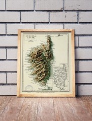 Corsica France Map, Corsica 2D Relief Map – 2D Flat Print