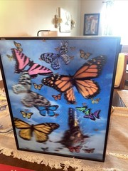 Lenticular Wall Decor Of Butterflies Images In Motion 2-dimensional Imagery