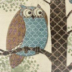 P. Brent Fantasy Owls Canvas Prints Pair 2 Wall Art 12”x12”x1” Birds Whimsical