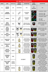U.S. NAVY ENLISTED RATES POSTER 24 X 36 Inches