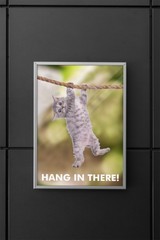 Hang In There! Cat Retro Motivational Poster 12×18