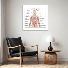 82049 Anatomy Human Body Tutorials Map Wall Print Poster US