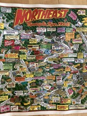 Vintage Northeast Minneapolis Minnesota MN Map Poster 1986-87 Business Store
