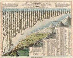 Chart, World Mountains & Rivers : Darton & Gardner : Archival Quality Art Print