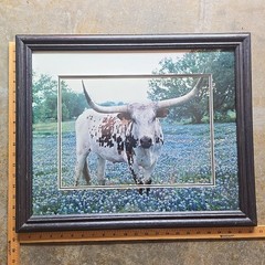 Texas Longhorn Bluebonnet Field Photo Art Framed VTG Dan Richards 18×22 Western