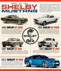 FORD MUSTANG SHELBY Wall Poster Vintage Retro Promo Poster 2 – POSTER 20×30