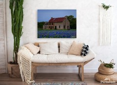 Photography Print Texas Bluebonnets, The Bluebonnet House Marble Falls Texas