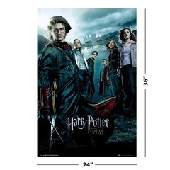 Harry Potter – 8 Piece Movie Poster Set (Regular Styles – Version 3) (24″ x 36″)
