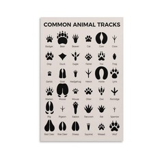 Animal Tracks Poster Educational Canvas Wall Art Aesthetic Decorative Paintin…