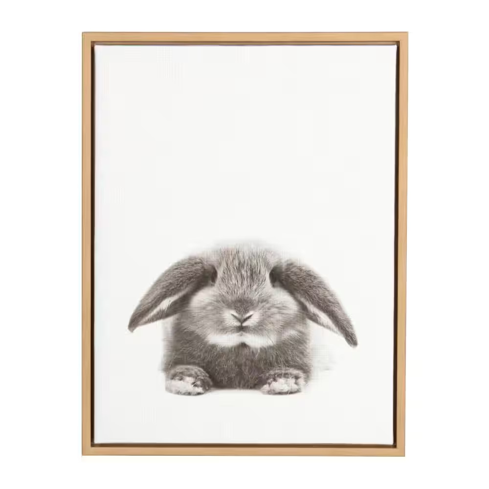 24 In. X 18 In. «Rabbit» by Tai Prints Framed Canvas Wall Art