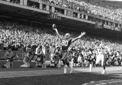 JERRY RICE NFL FOOTBALL Poster – POSTER 20×30