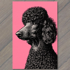 Art Print Poodle Head Pink Background Black Ink Detailed Dog Face Retro Style