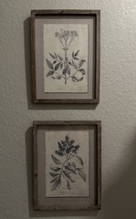 Set of 2 Framed Botanical Prints, Vertical Wall Art Decor, Wood & Paper