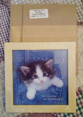Cozy Places Kitten Print Cat Picture Wall Art Wood Frame Keith Kimberlin Litho