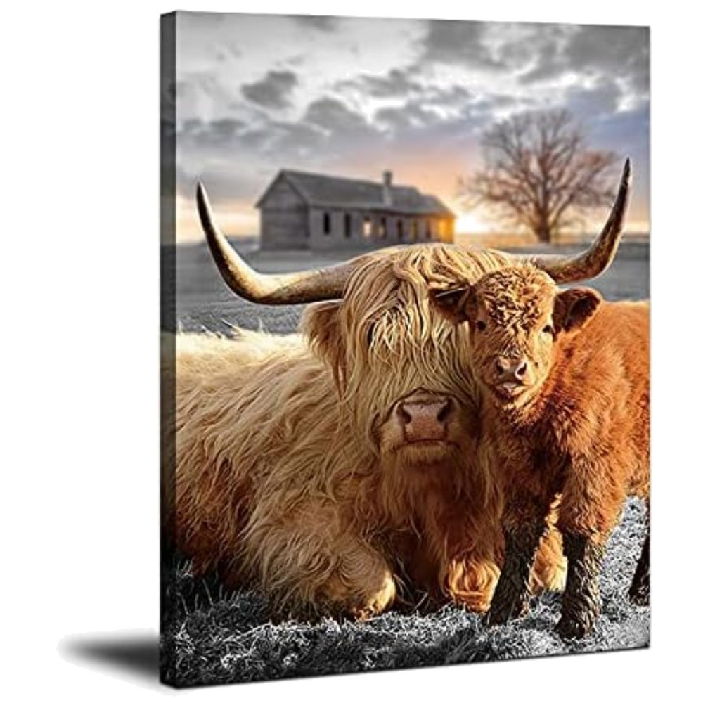 Fluffy Highland Cattle Photo – Farmhouse Art 12×16