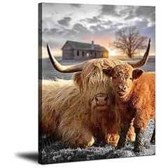Fluffy Highland Cattle Photo – Farmhouse Art 12×16