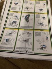 1984 Vintage Bruce Algra Weight Training Fitnus Chart Series Lot Of 12 16×11 In
