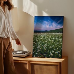 Sweeping View Of A Vibrant Field Filled With Delicate White Daisies Wall Art