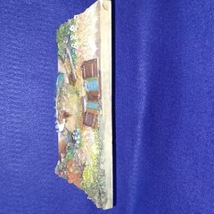3D Pictures. Set of Two. Resin. 8-3/4″ x 6-3/4″ x 1″ depth. Deck/Patio