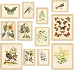 Vintage Botanical Wall Art Decor Plant Posters For Room Aesthetic Vintage