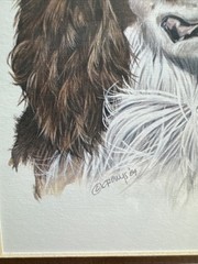 English Springer Spaniel Dog Double Matted Brown Frame 9.5″ x 11.5″ Roger Crowys