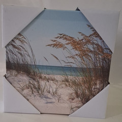 Hobby Lobby 8×8 Beach Coastal Dune Grass Canvas Print Wall Art Square