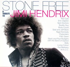 JIMI HENDRIX Stone Free Album Cover Poster Print 12 x 12 Reproduction