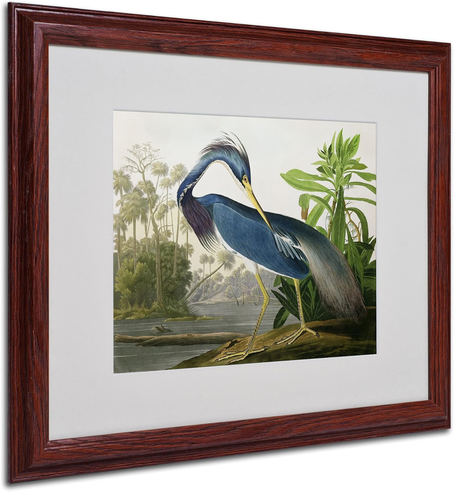 Framed Wall Art – John James Audubon ‘Louisiana Heron’ Wall Decor with Matted Fr