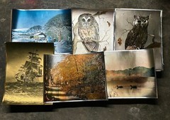 Vintage Metallic Foil Art Vintage 3D Effect Lot Aesthetic Impressions Owls Ducks
